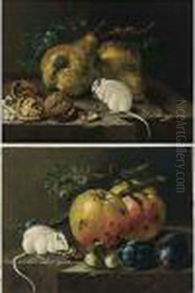 A Still Life With A White Mouse 
Eating A Hazelnut, Together With Two Apples, Hazelnuts And Two Prunes, 
All On A Stone Ledge Oil Painting by Johann Amandus Winck
