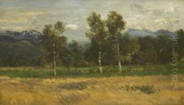 Birken In Sommerlicher
 Voralpenlandschaft. Oil Painting by Josef Wopfner