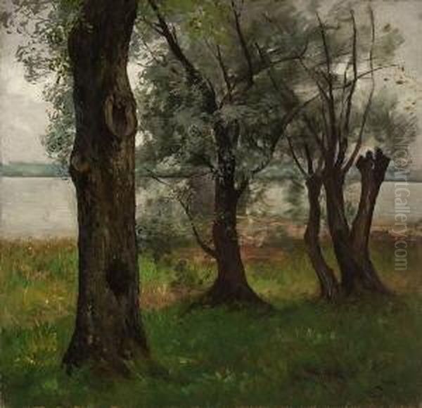 Weidenbaume Am Chiemsee -
 Ufer. Oil Painting by Josef Wopfner