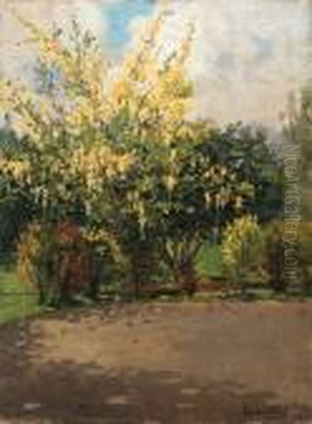 Golden Shower Tree
Signed Oil Painting by Theodore Wores