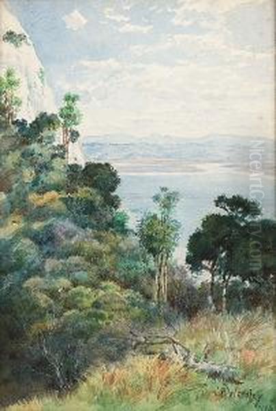 Young Nicks Head, Poverty Bay, Gisborne, New Zealand Oil Painting by Charles Nathaniel Worsley