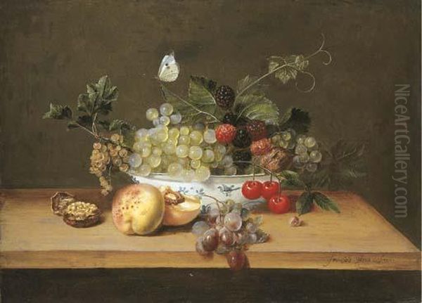 Grapes On The Vine, 
Whitecurrants, Blackberries, Cherries And A Walnut In A Porcelain Bowl 
With Peaches, Grapes And A Walnut On A Wooden Table Ledge With A Large 
White Butterfly Oil Painting by Frans Ykens