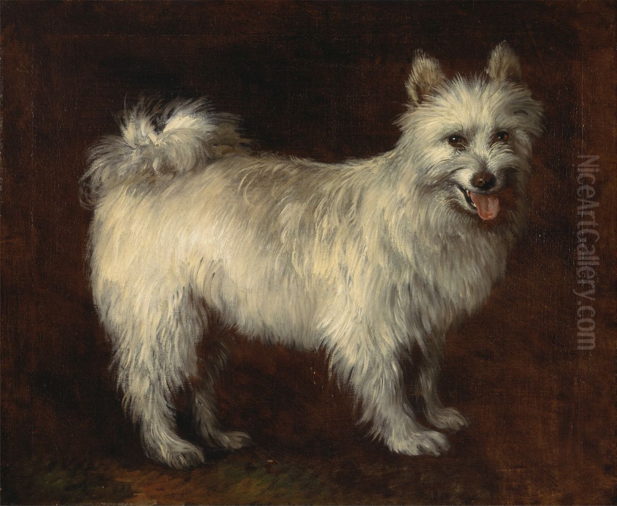 Spitz Dog Oil Painting by Thomas Gainsborough