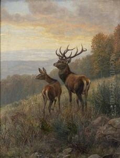 Hirsch Und Hirschkuh Auf Der
 Lichtung. Oil Painting by Carl Friedrich Zimmermann