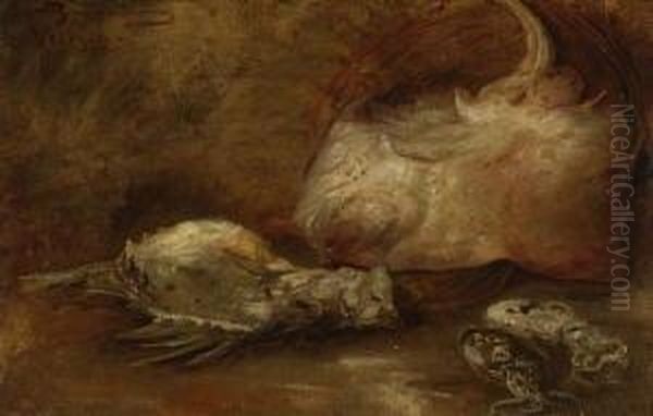 Stillleben Mit
 Meerestieren. Oil Painting by Ernst Karl Georg Zimmermann