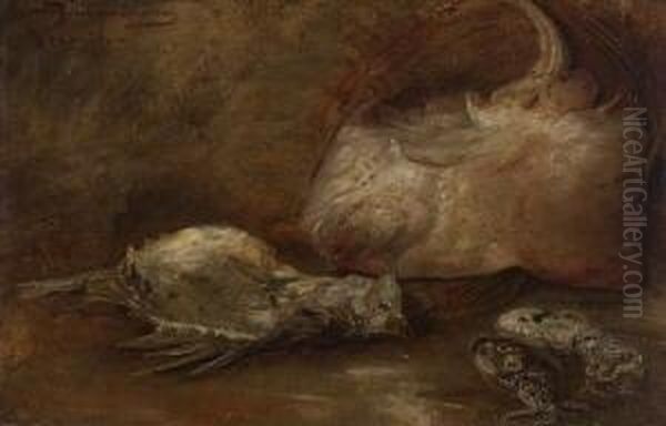 Stillleben Mit Polypen Und Anderen
 Seetieren. Oil Painting by Ernst Karl Georg Zimmermann