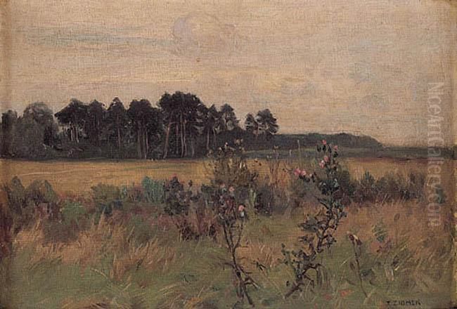 Pejzaz Oil Painting by Teodor Ziomek