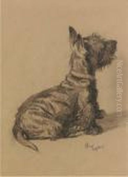 A Scottie Oil Painting by Cecil Charles Aldin