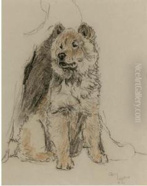 Study Of A Chow Chow Oil Painting by Cecil Charles Aldin