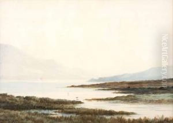 Port Of Dhu Lough 
Mayo Oil Painting by Douglas Alexander