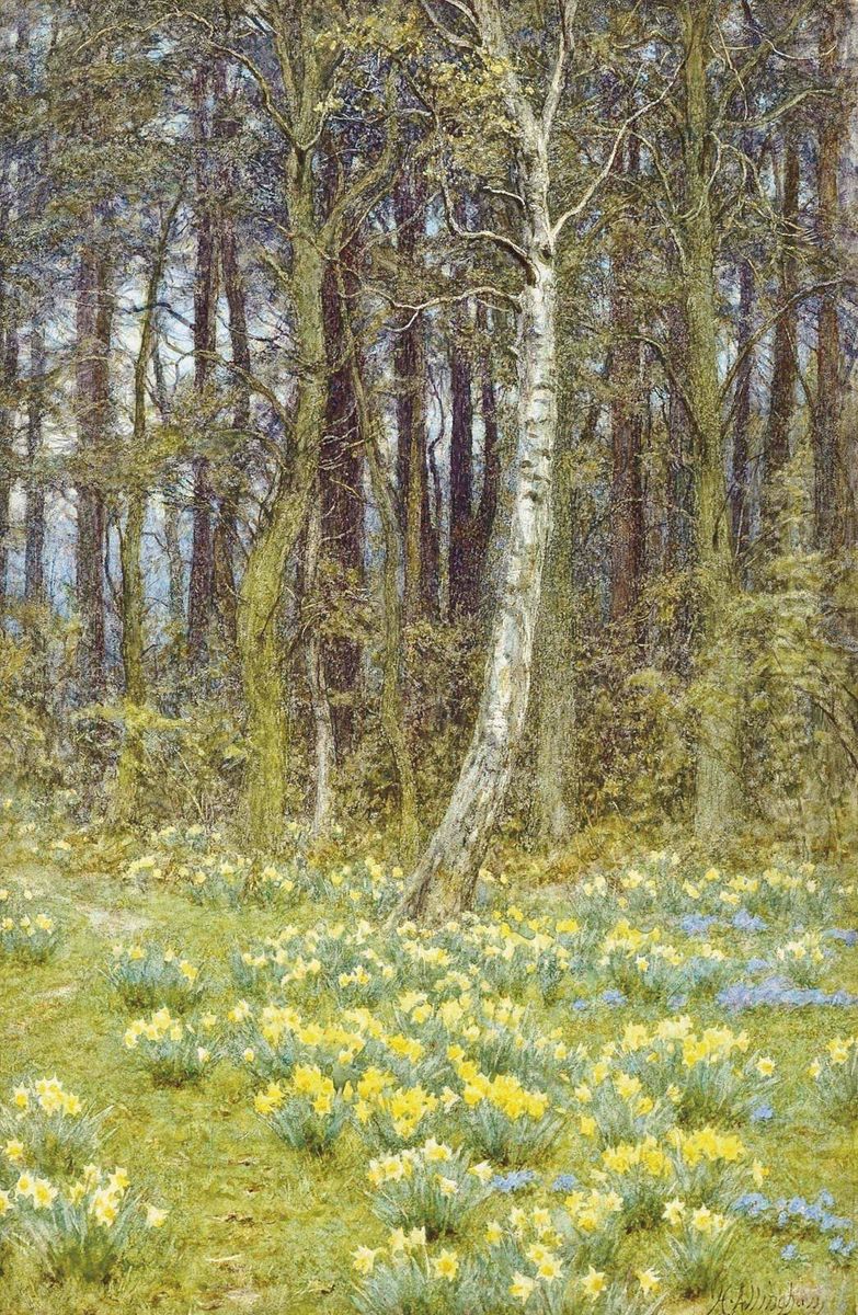 The Daffodil Wood Oil Painting by Helen Mary Elizabeth Allingham
