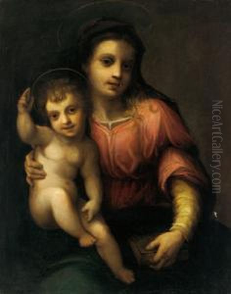 Madonna Col Bambino Oil Painting by Andrea Del Sarto