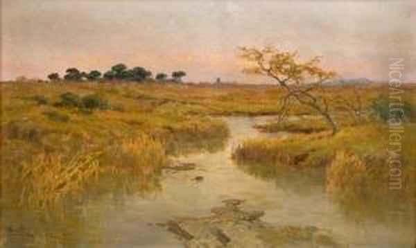 Veduta Della Palude Pontina Oil Painting by Filippo Anivitti