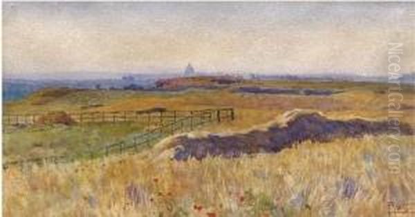 Campagna Romana Con Roma Sullo Sfondo Oil Painting by Filippo Anivitti