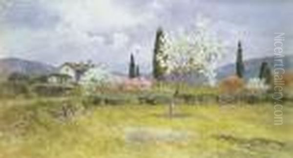 Primavera Nei Campi Oil Painting by Filippo Anivitti