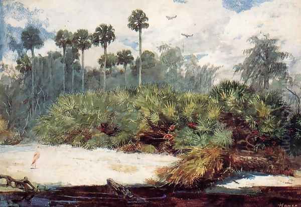 In a Florida Jungle Oil Painting by Winslow Homer