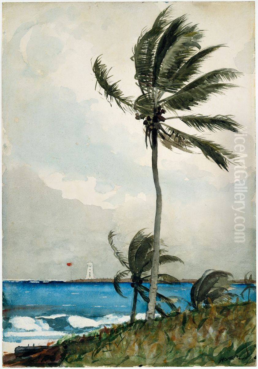 Palm Tree, Nassau Oil Painting by Winslow Homer