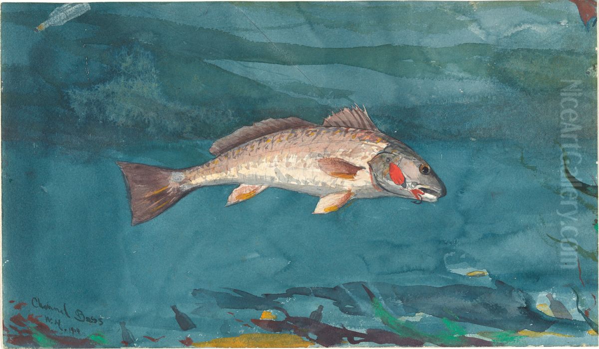 Channel Bass Oil Painting by Winslow Homer