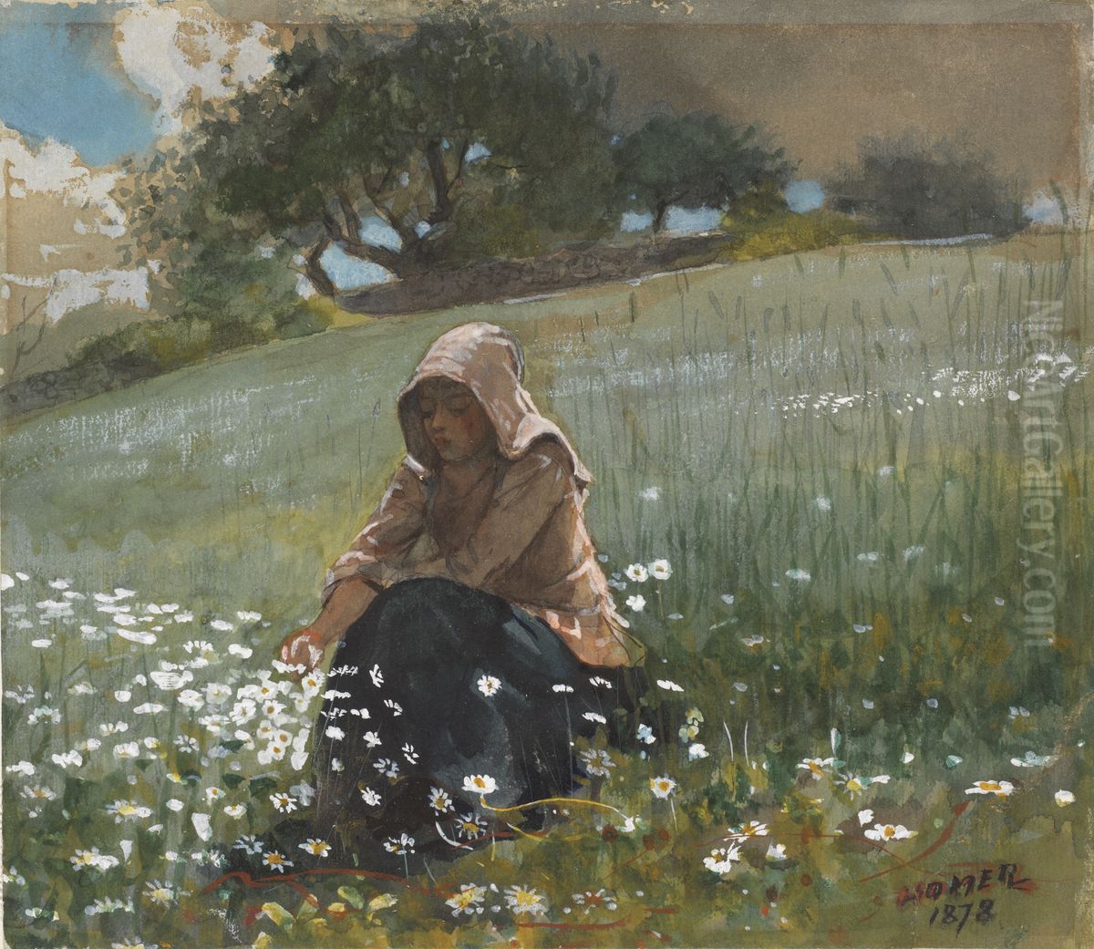 Girl and Daisies Oil Painting by Winslow Homer