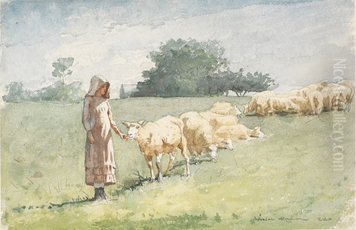 Girl and Sheep Oil Painting by Winslow Homer