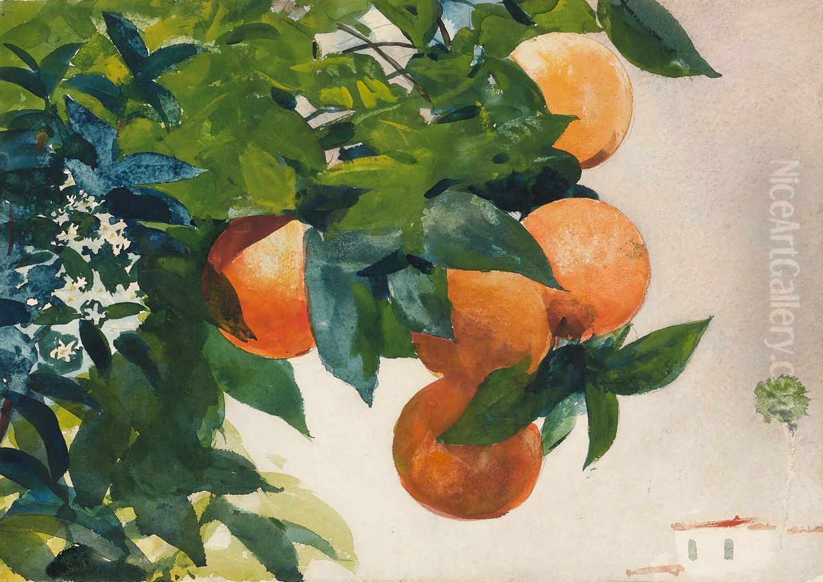 Oranges on a Branch Oil Painting by Winslow Homer