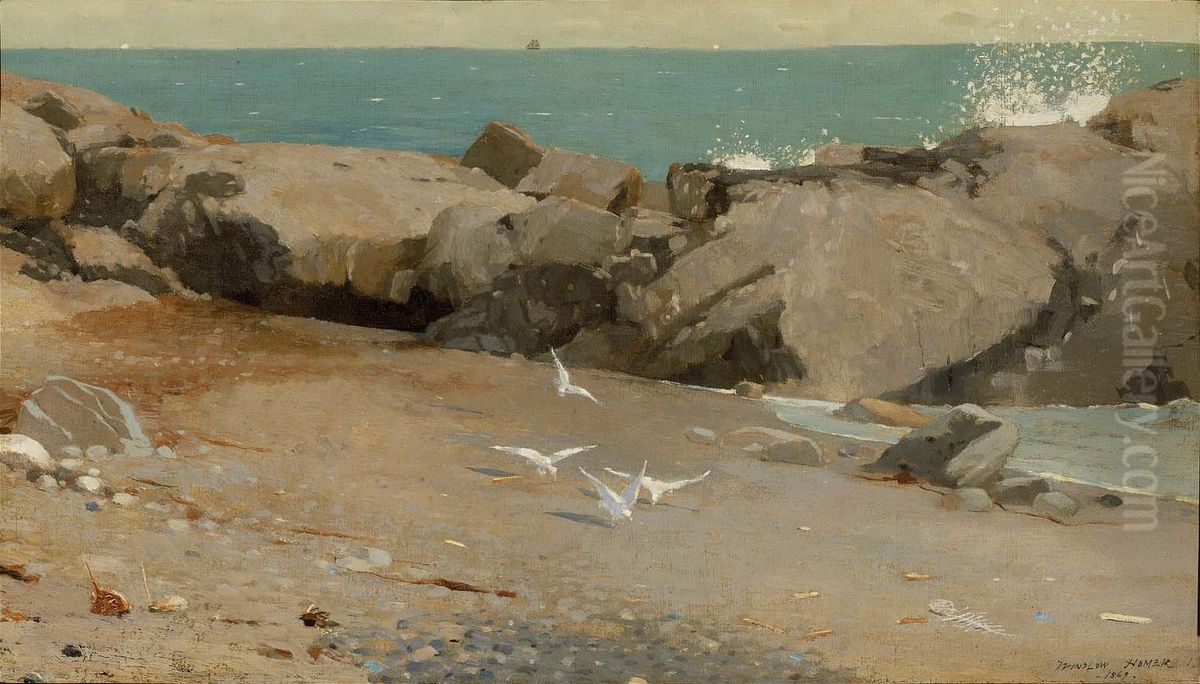 Rocky Coast and Gulls Oil Painting by Winslow Homer
