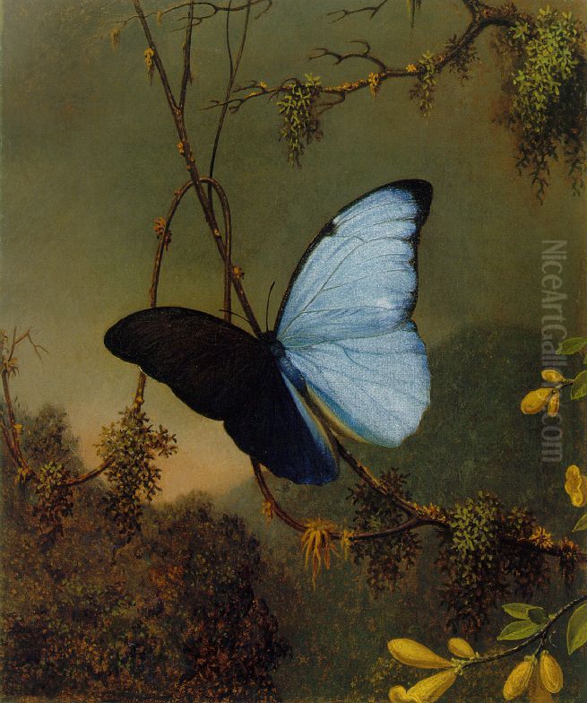 Blue Morpho Butterfly Oil Painting by Martin Johnson Heade