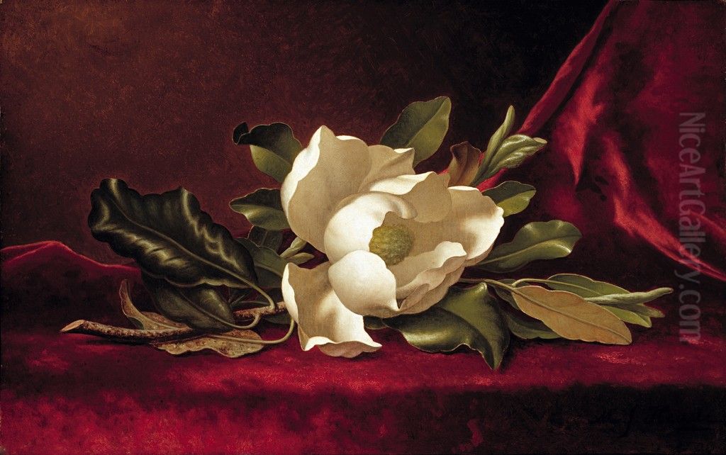 The Magnolia Blossom Oil Painting by Martin Johnson Heade