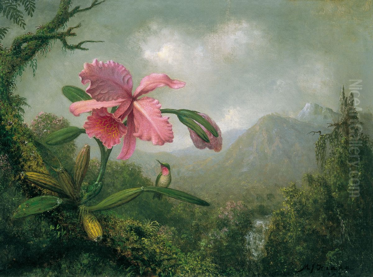 Orchid And Hummingbird Near A Mountain Waterfall Oil Painting by Martin Johnson Heade
