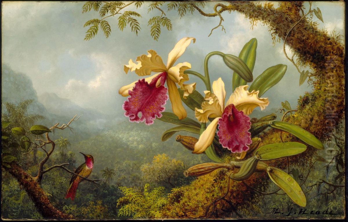Orchids and Hummingbird Oil Painting by Martin Johnson Heade