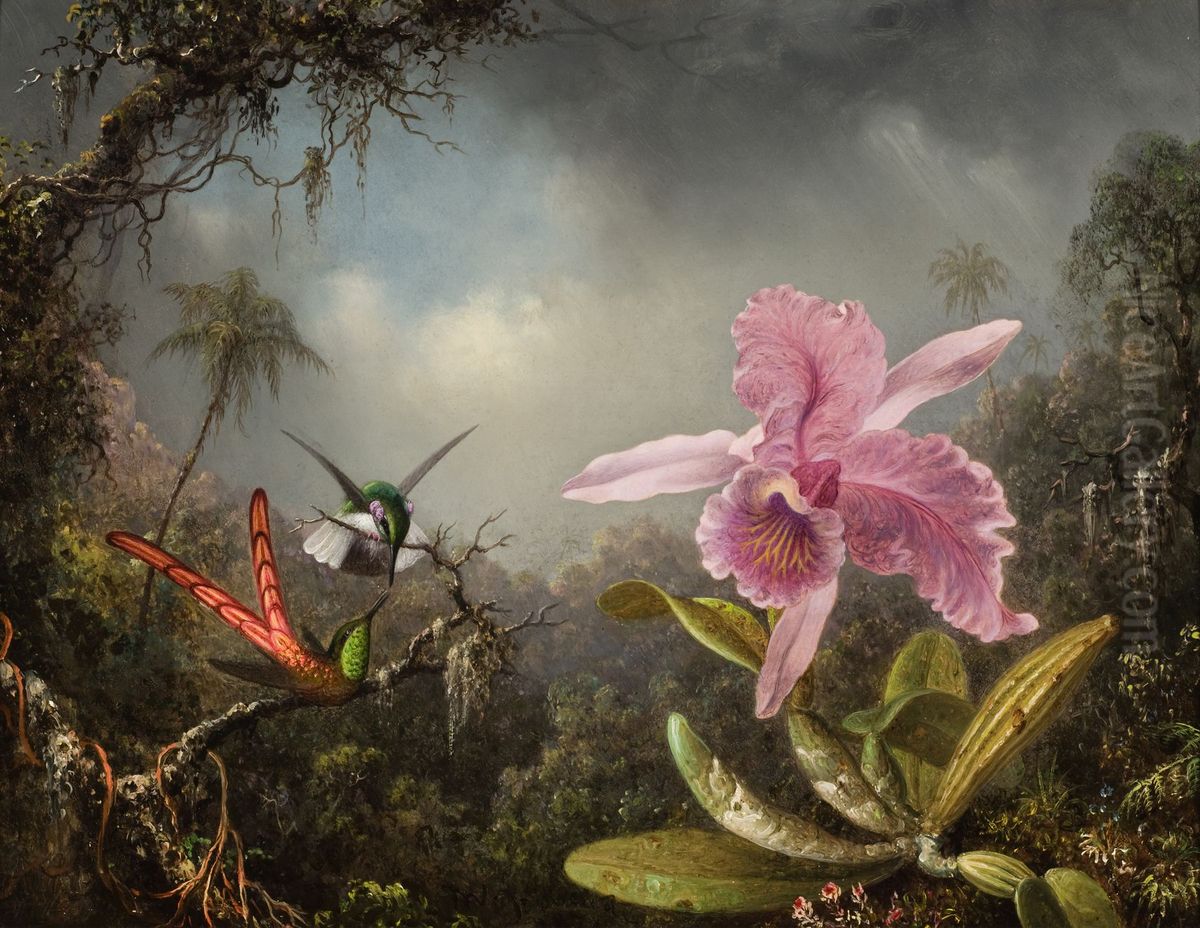 Orchid With Two Hummingbirds Oil Painting by Martin Johnson Heade