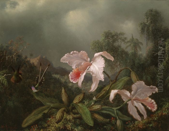 Jungle Orchids And Hummingbirds Oil Painting by Martin Johnson Heade