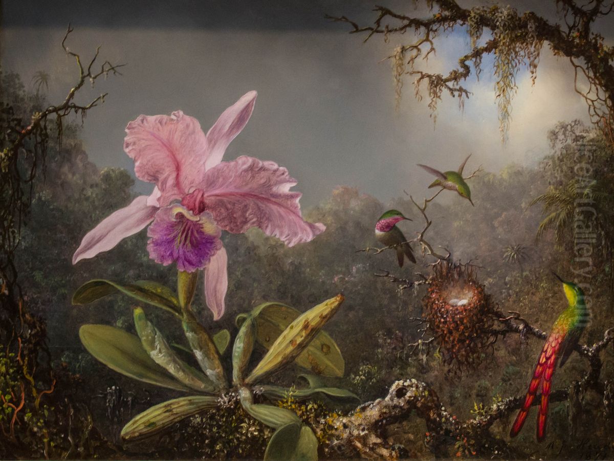 Cattelya Orchid and Three Brazilian Hummingbirds Oil Painting by Martin Johnson Heade
