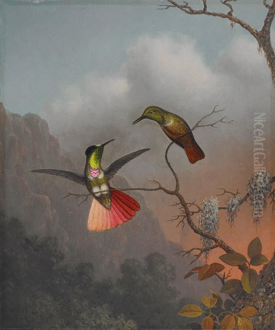 Hooded Visorbearer Oil Painting by Martin Johnson Heade