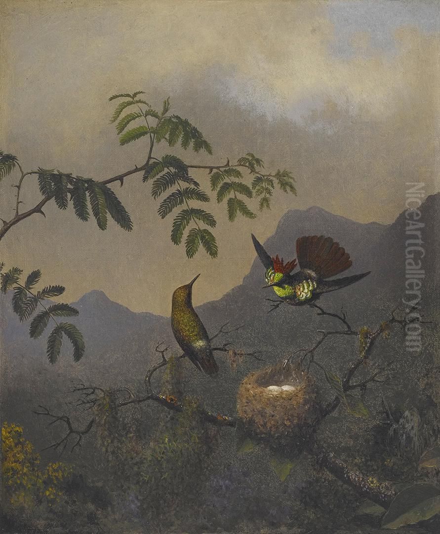 Frilled Coquette Oil Painting by Martin Johnson Heade