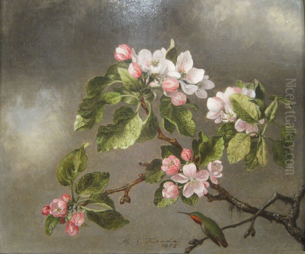 Hummingbird and Apple Blossoms Oil Painting by Martin Johnson Heade