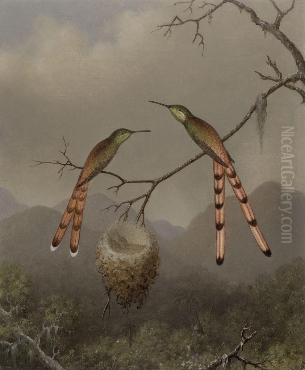 Two Hummingbirds With Their Young Oil Painting by Martin Johnson Heade