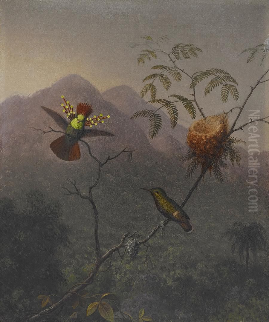 Tufted Coquette Oil Painting by Martin Johnson Heade
