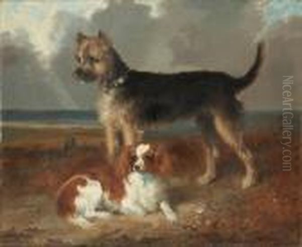 Twosmall Dogs Oil Painting by Richard Ansdell