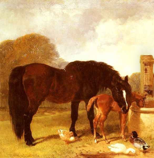 Horse and Foal watering at a trough Oil Painting by John Frederick Herring Snr