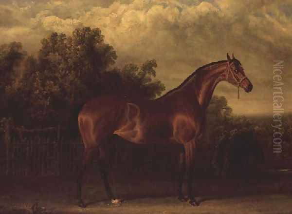 Negotiator' a Bay Colt in a Wooded landscape Oil Painting by John Frederick Herring Snr