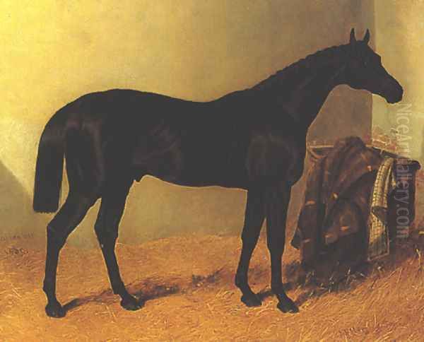 Charles XII by John F. Herring Senior Oil Painting by John Frederick Herring Snr