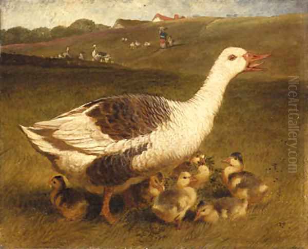A Goose and Goslings Oil Painting by John Frederick Herring Snr