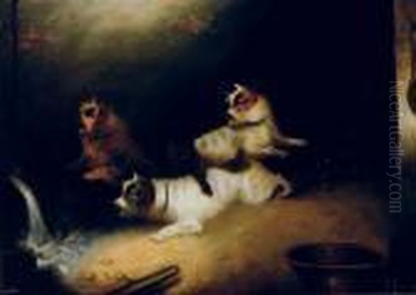 Terriers Alert Oil Painting by George Armfield