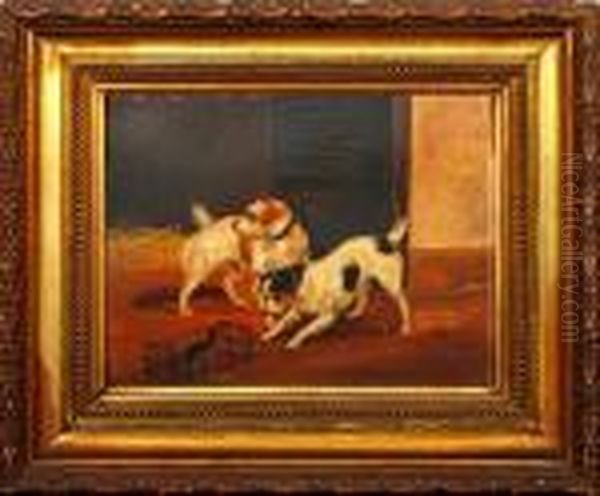 Two Terriers With A Caged Rat Oil Painting by George Armfield