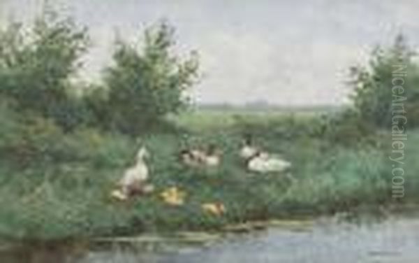 Ducks On A Riverbank Oil Painting by David Adolf Constant Artz