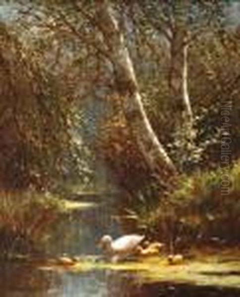 Eend Met Kuikens In De Sloot Oil Painting by David Adolf Constant Artz