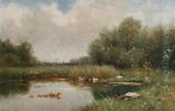 Ducks In A Summer Pond Oil Painting by David Adolf Constant Artz