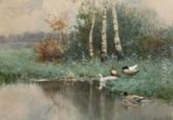 Eenden Aan De Waterkant Oil Painting by David Adolf Constant Artz