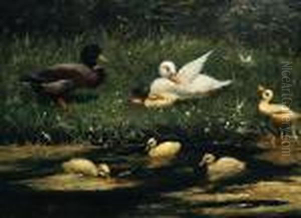 Ducks And Ducklings At The Waterside Oil Painting by David Adolf Constant Artz